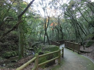 慈眼寺公園